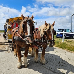nordsee rundreise 2023_36